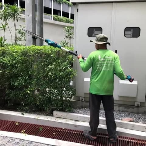 ตัดแต่งพุ่มไม้และแนวรั้วต้นไม้